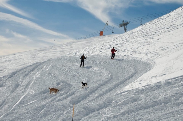  im Schnee mit den Hunden 